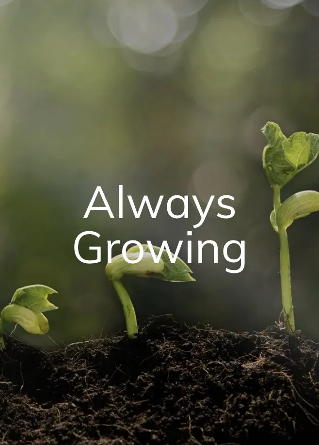 Professional yard maintenance in Ortonville, MI by Park Place Lawn Care