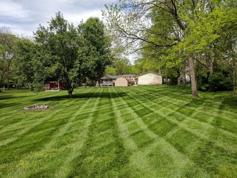 Reliable yard cleanup service in Nashville, TN by Park View Lawn Care and Landscape