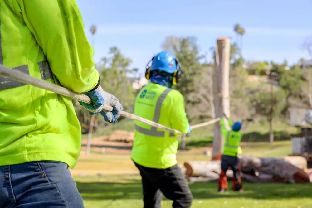 Reliable landscaping services in Rancho Santa Margarita, CA - Park West
