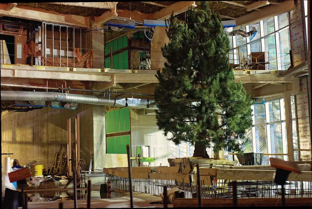 Expert lawn care service in Rancho Santa Margarita, CA by Park West