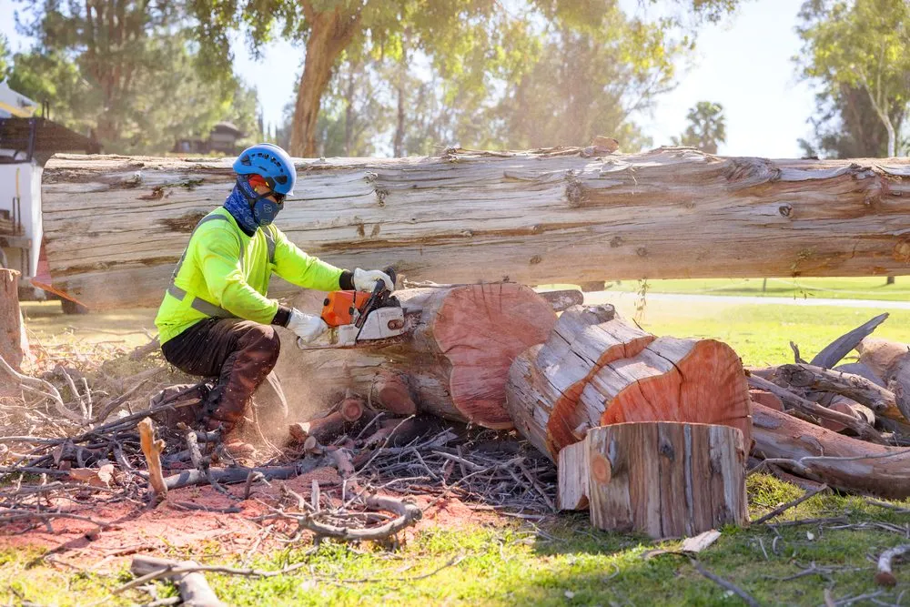 Trusted yard maintenance experts serving Rancho Santa Margarita, CA - Park West