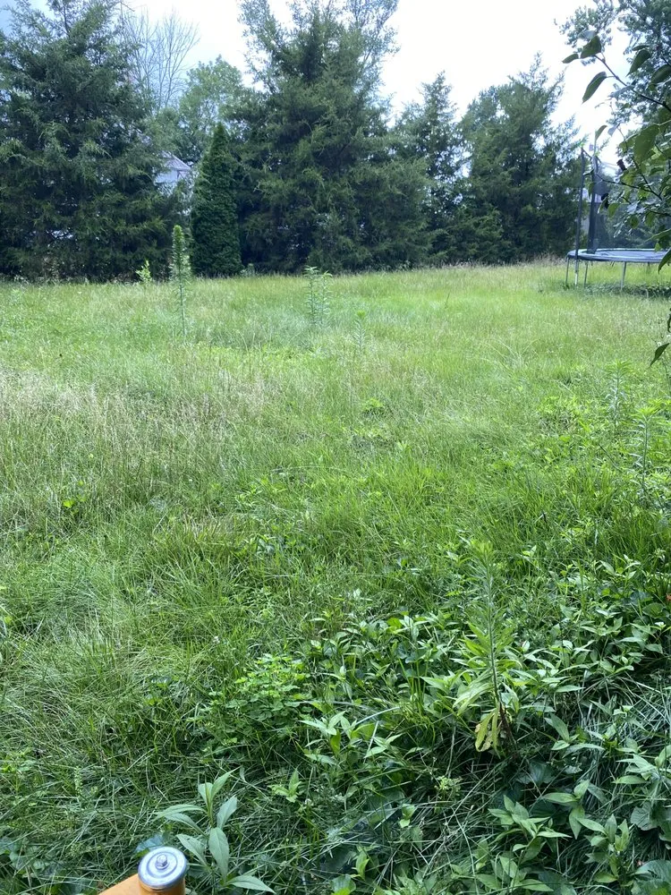 Affordable lawn care service in Montezuma, IN by Parke County Lawn Care