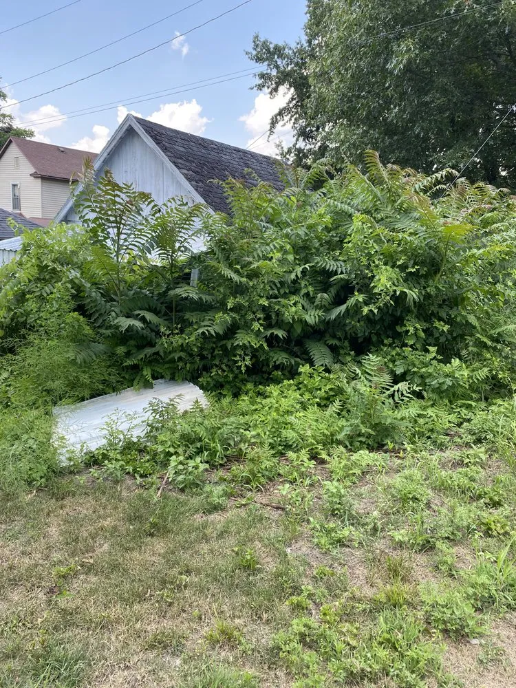 Top-rated garden landscaping for residential properties across Montezuma, IN - Parke County Lawn Care