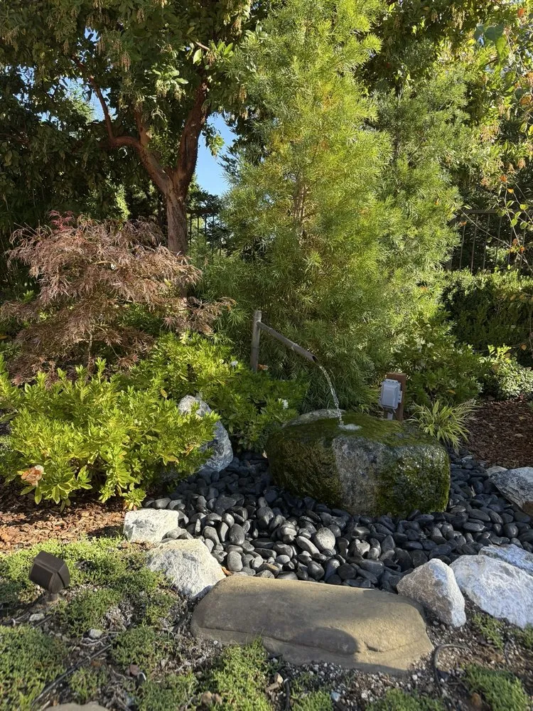 Affordable yard cleanup service experts serving Anderson, CA - Parker and Honey Landscape and Design