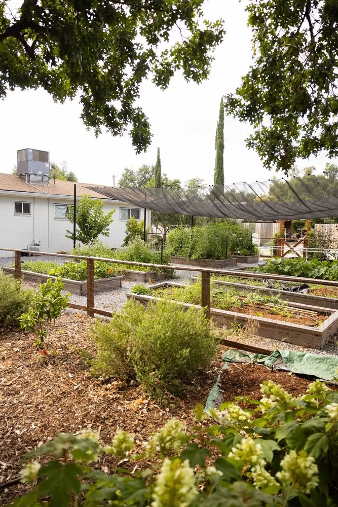 Local yard maintenance in Anderson, CA by Parker and Honey Landscape and Design