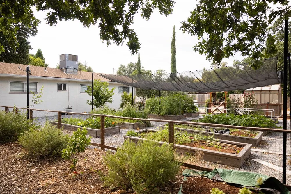 Reliable yard maintenance for homes across Anderson, CA - Parker and Honey Landscape and Design