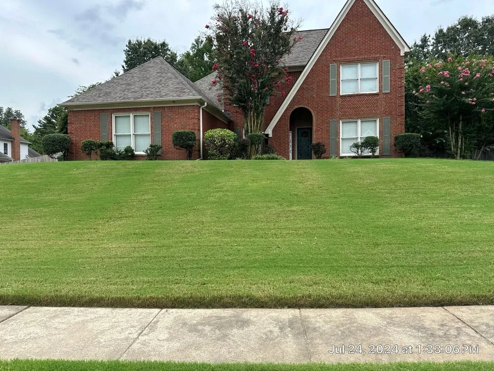 Affordable yard cleanup service for year-round maintenance across Memphis, TN - Parker and Sons M D