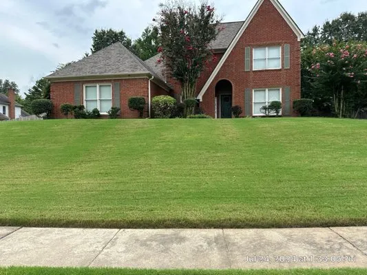 Parker and Sons M D Logo