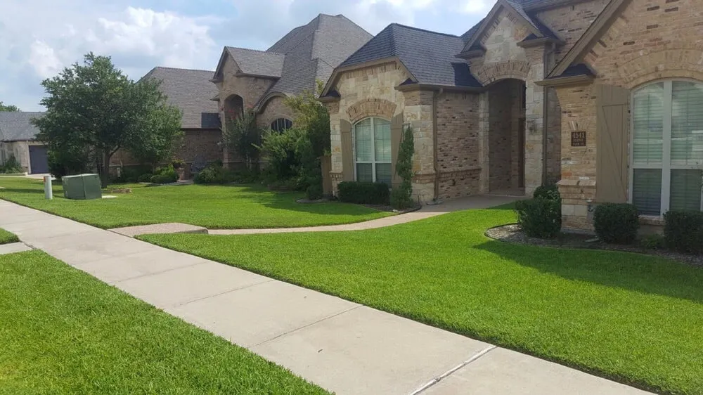 Local yard cleanup service experts serving Weatherford, TX - Parker County Choppers