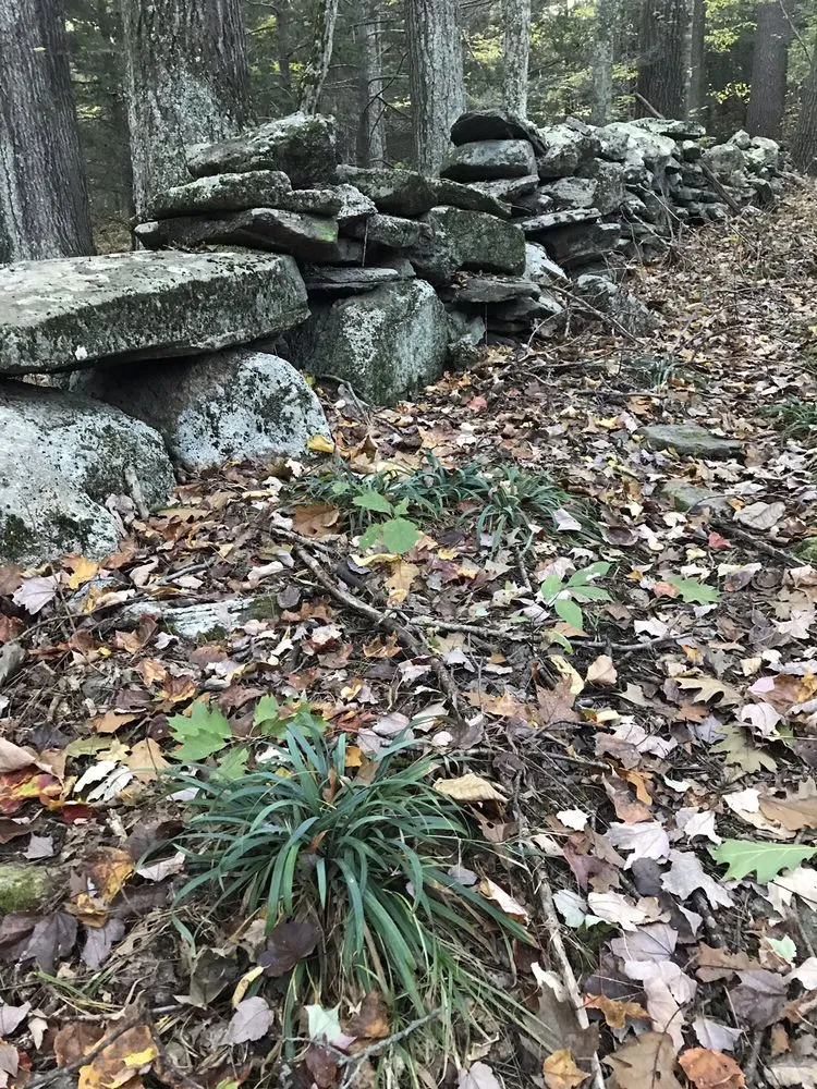 Custom outdoor landscaping in Nashua, NH - Parker Garden Design