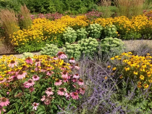 Professional yard cleanup service for year-round maintenance in Nashua, NH by Parker Garden Design