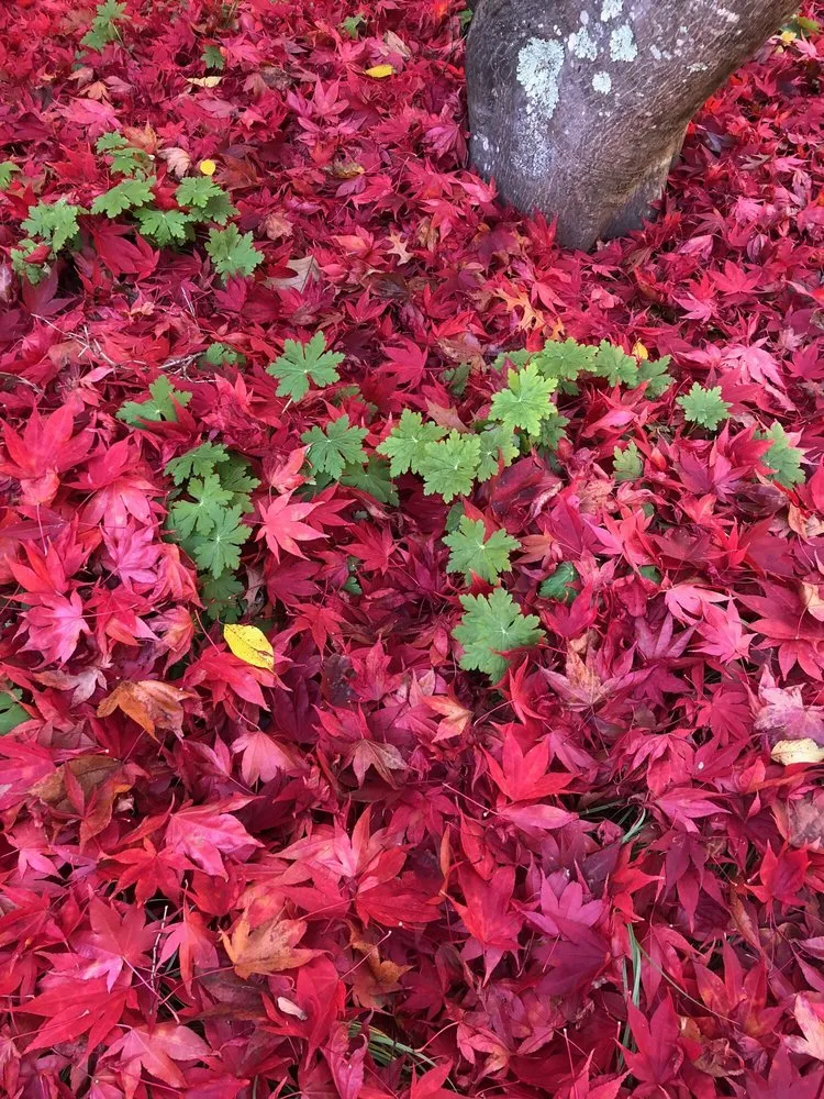 Custom outdoor landscaping with custom design across Nashua, NH - Parker Garden Design