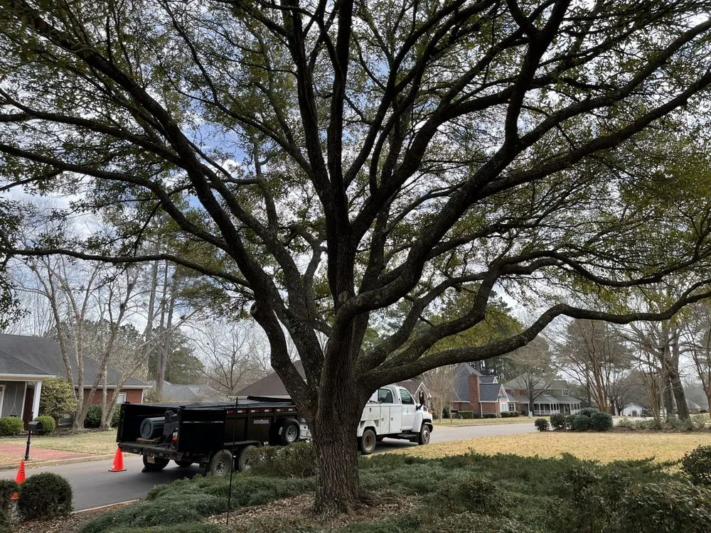 Custom landscape installation experts serving Brandon, MS - Parker Industries