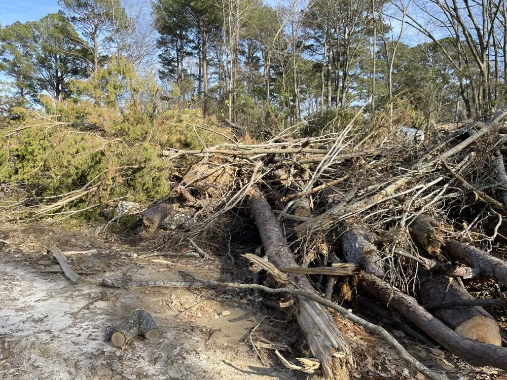 Affordable lawn care service experts serving Brandon, MS - Parker Industries