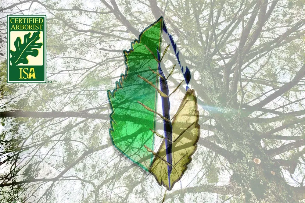 Expert yard cleanup service experts serving Brandon, MS - Parker Industries