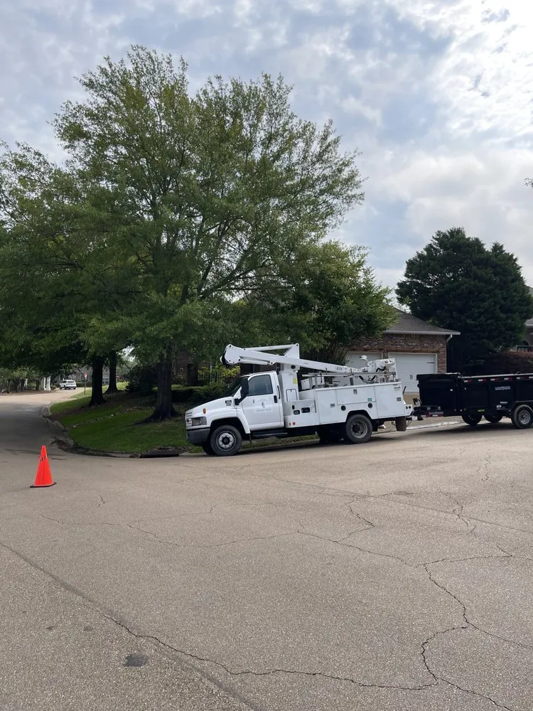 Custom yard cleanup service near you in Brandon, MS by Parker Industries