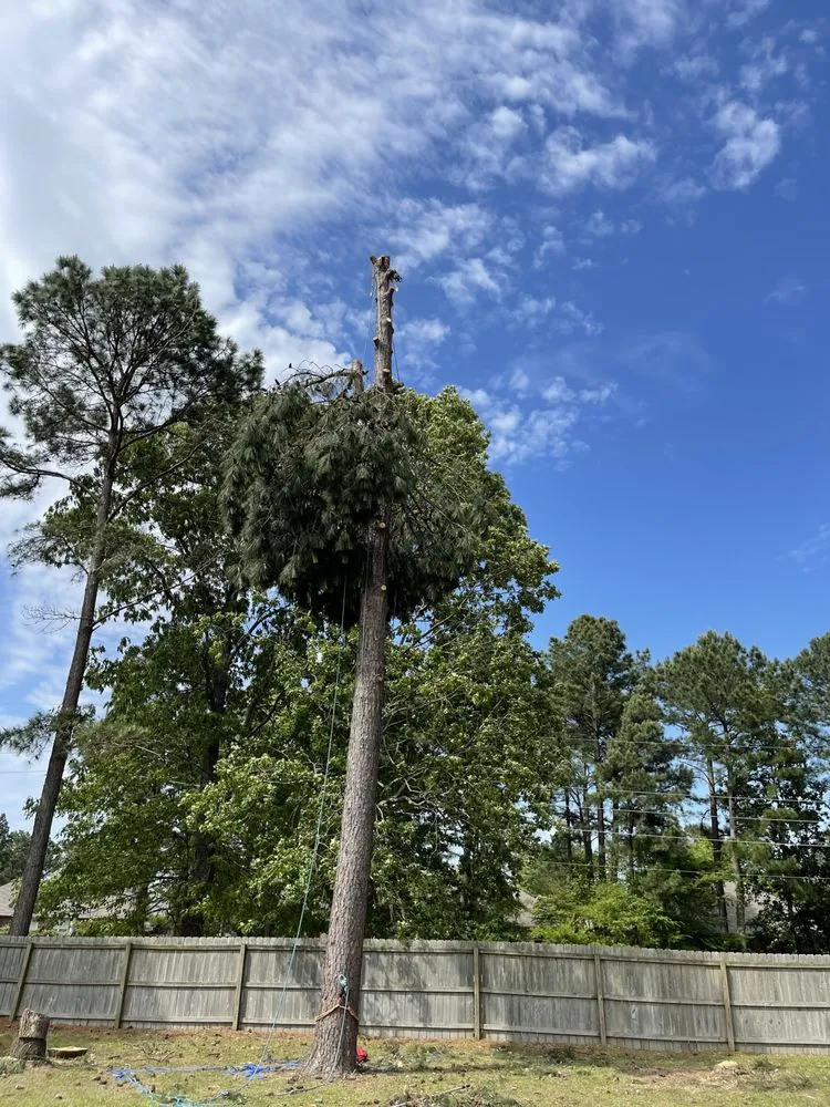 Affordable landscaping services in Brandon, MS - Parker Industries