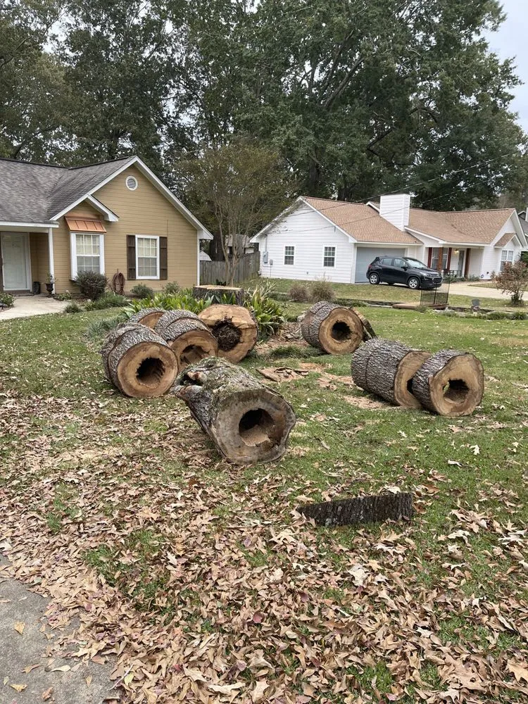 Local garden landscaping experts serving Brandon, MS - Parker Industries