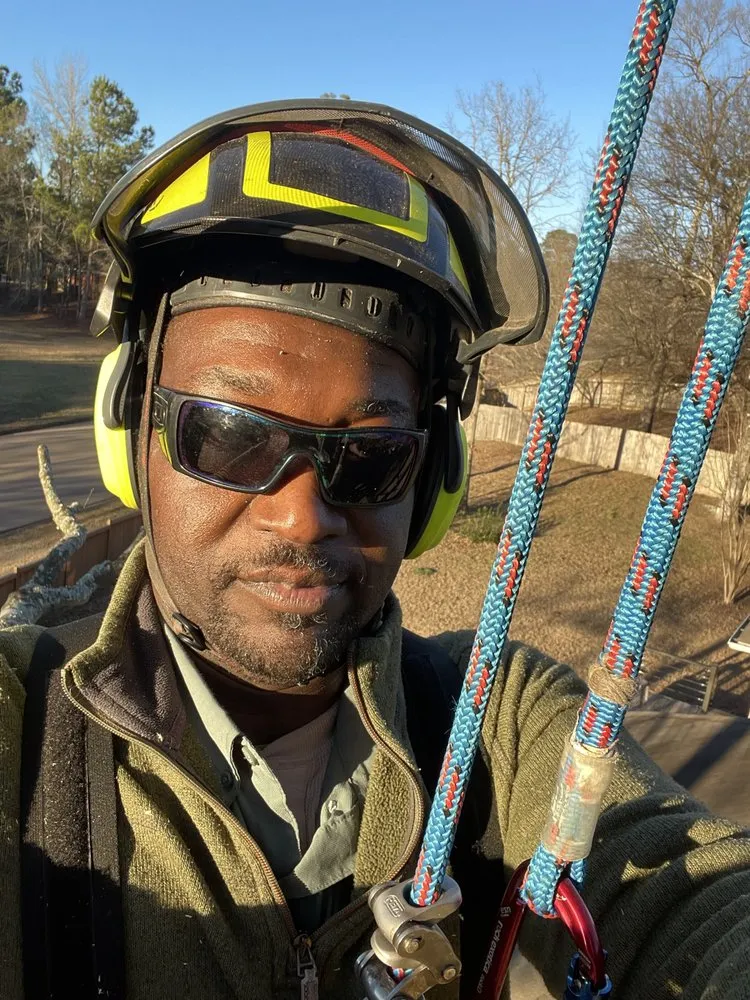 Reliable landscape installation for residential properties across Brandon, MS - Parker Industries