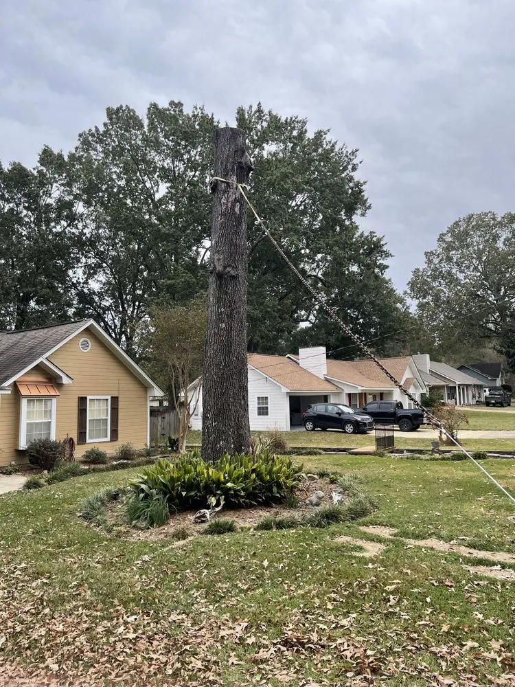 Reliable yard maintenance in Brandon, MS by Parker Industries