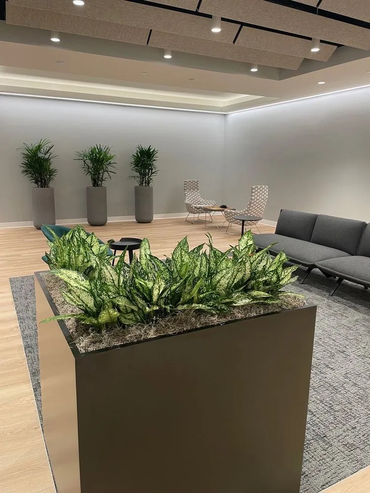 Affordable landscape design in Plainfield, NJ - Parker Interior Plantscape