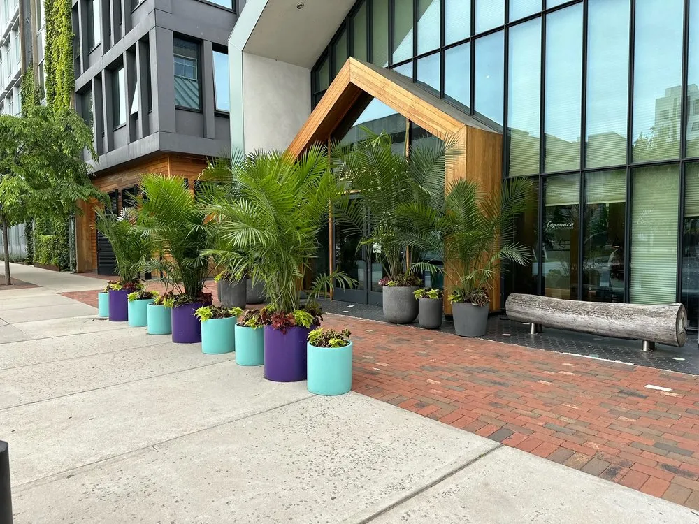 Affordable landscaping services in Plainfield, NJ - Parker Interior Plantscape