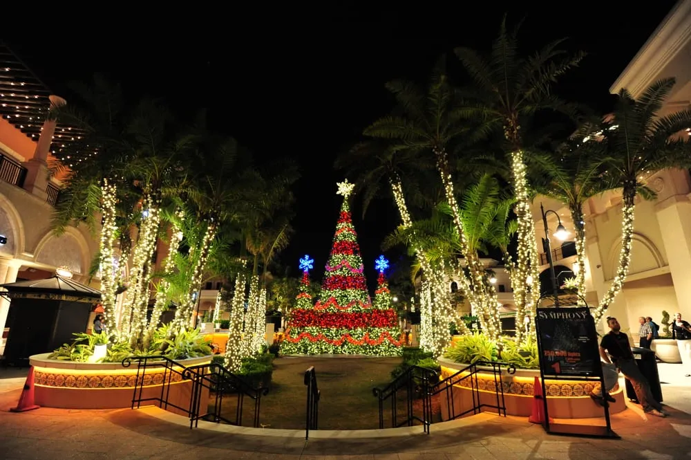 Local landscape installation in Plainfield, NJ by Parker Interior Plantscape