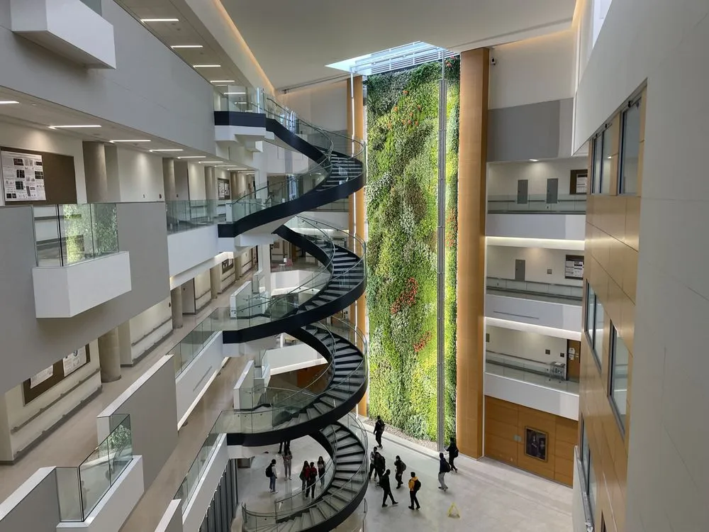 Custom yard cleanup service for outdoor upgrades across Plainfield, NJ - Parker Interior Plantscape