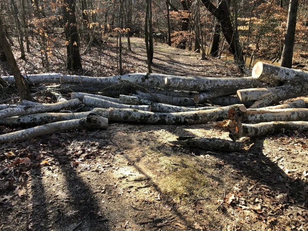 Top-rated lawn mowing service experts serving Red oak, NC - Parker Land Management