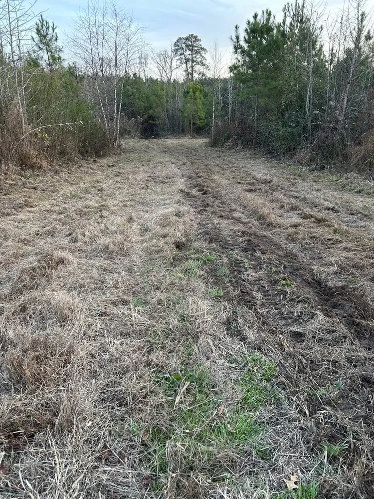 Local garden landscaping in Red oak, NC by Parker Land Management