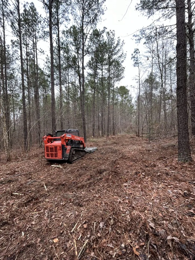 Reliable garden landscaping near you in Red oak, NC by Parker Land Management