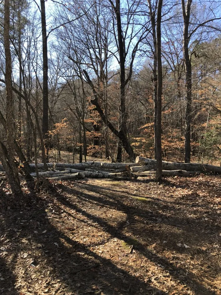 Trusted landscaping services near you in Red oak, NC by Parker Land Management