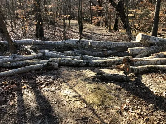 Parker Land Management