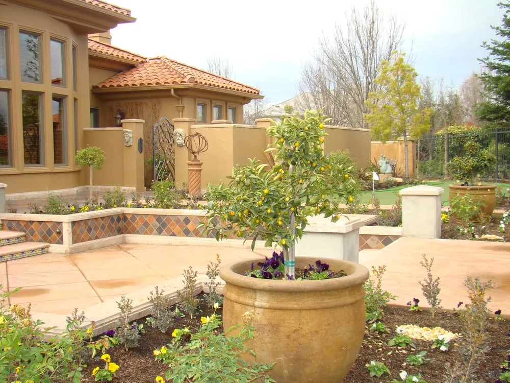 Affordable landscape design for year-round maintenance across Clovis, CA - Parker Landscape