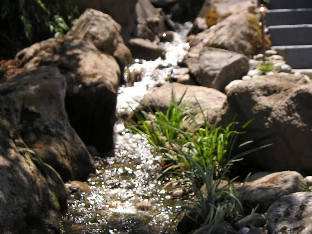 Reliable garden landscaping in Clovis, CA by Parker Landscape