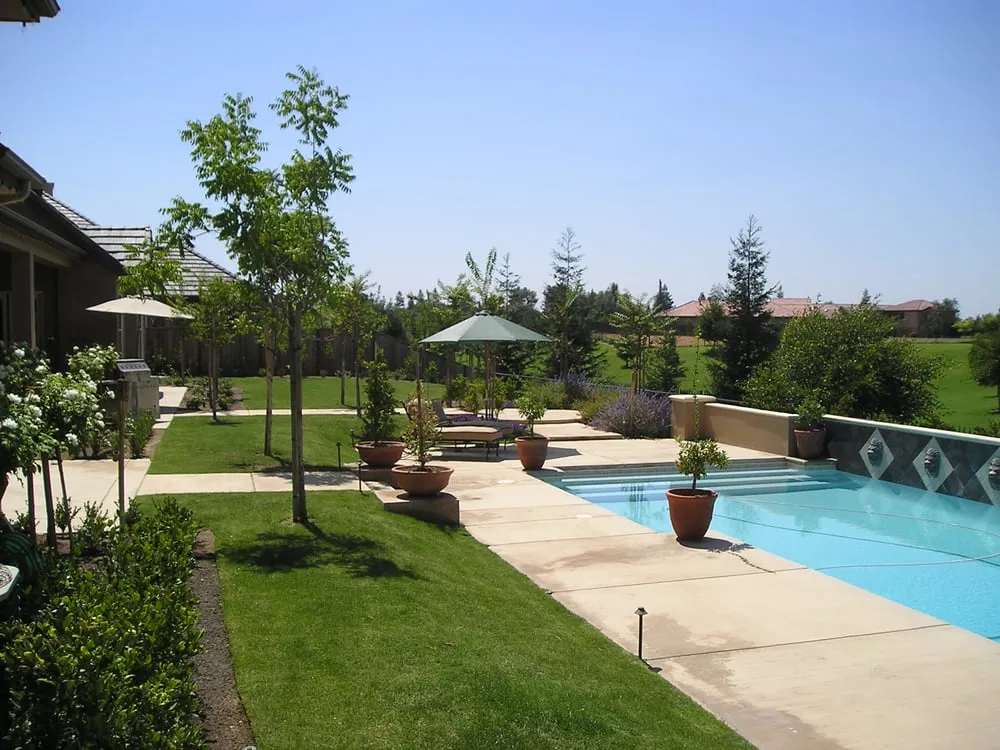 Professional yard maintenance in Clovis, CA - Parker Landscape