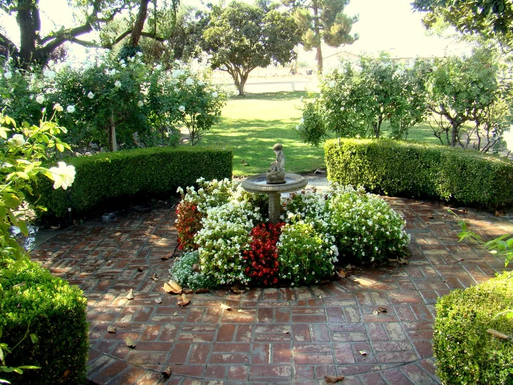 Local landscape design experts serving Clovis, CA - Parker Landscape