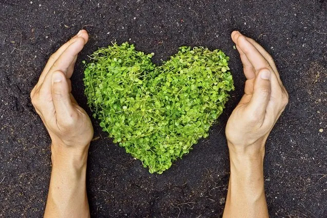 Reliable lawn mowing service in Elizabeth, CO - Parker Landscape Design