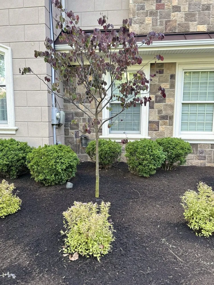 Custom yard maintenance with custom design in Warren, NJ by Parker Landscape Design