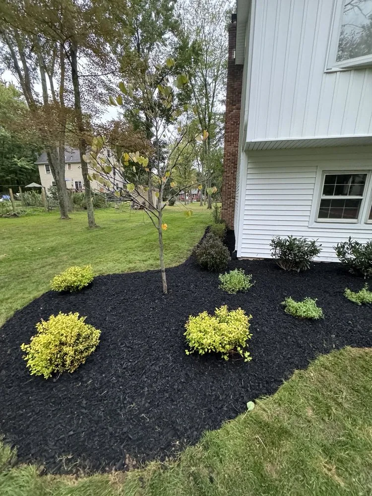 Expert yard maintenance near you in Warren, NJ by Parker Landscape Design
