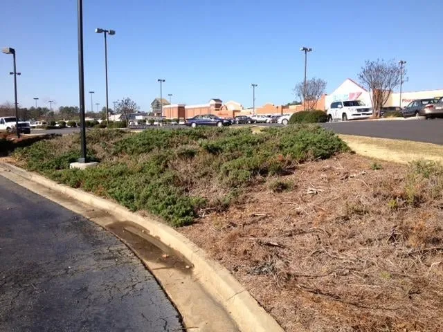 Top-rated garden landscaping with custom design in Gray, GA by Parker Landscape Management