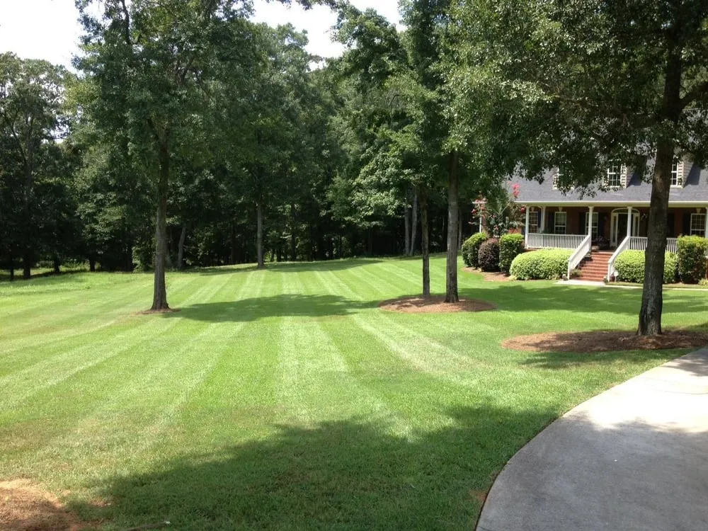 Expert lawn mowing service experts serving Gray, GA - Parker Landscape Management