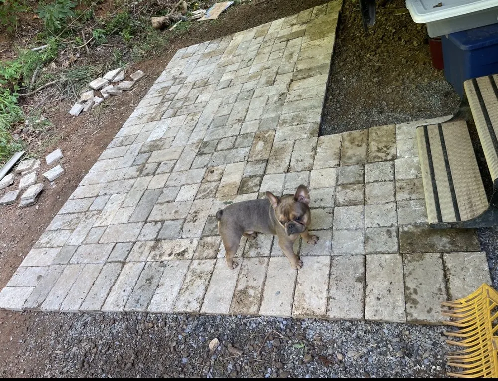 Affordable landscaping services experts serving Buford, GA - Parker Landscaping & Hardscaping