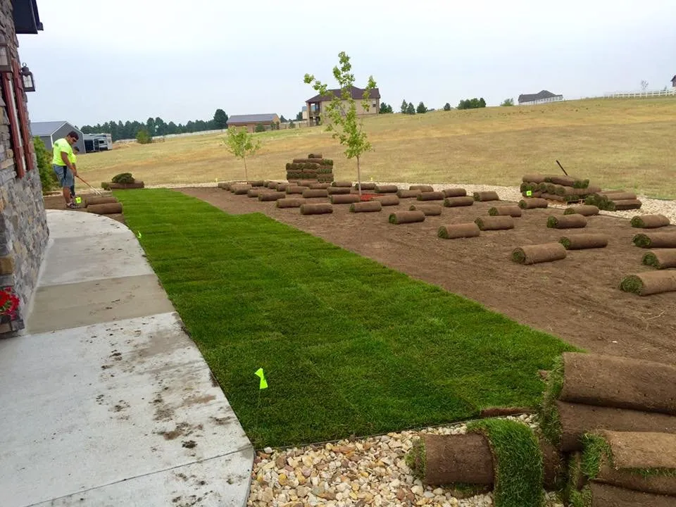 Reliable lawn care service for year-round maintenance in Parker, CO by Parker Landscaping