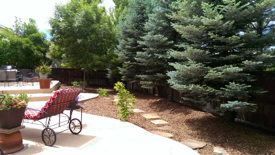 Trusted landscaping services in Parker, CO by Parker Landscaping