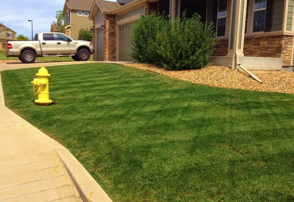 Reliable landscape design in Parker, CO by Parker Landscaping