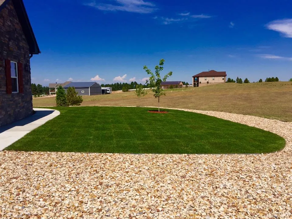 Trusted lawn care service for residential properties across Parker, CO - Parker Landscaping