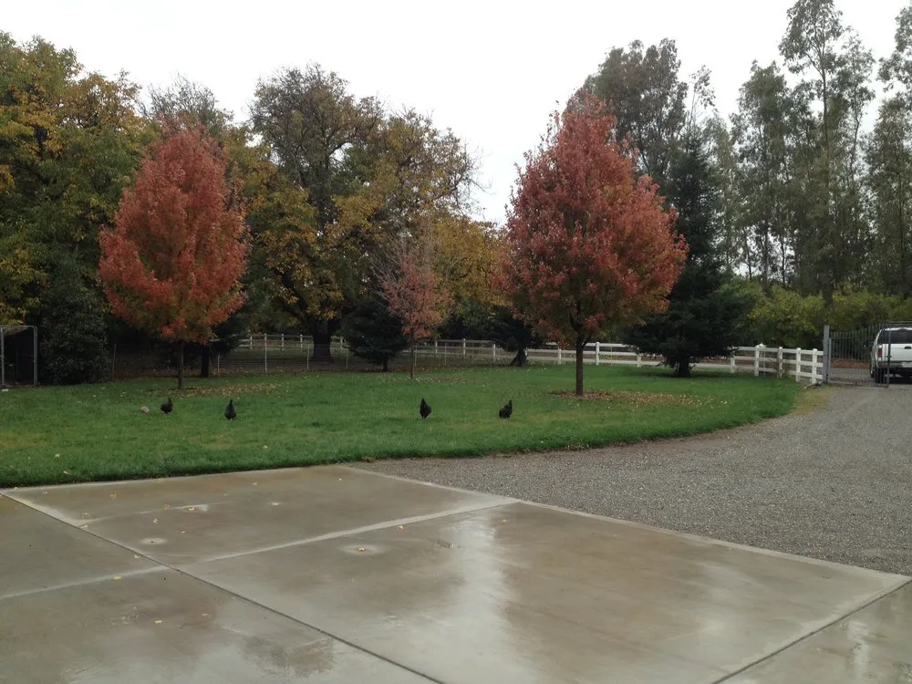 Top-rated garden landscaping in Red Bluff, CA - Parker Landscaping