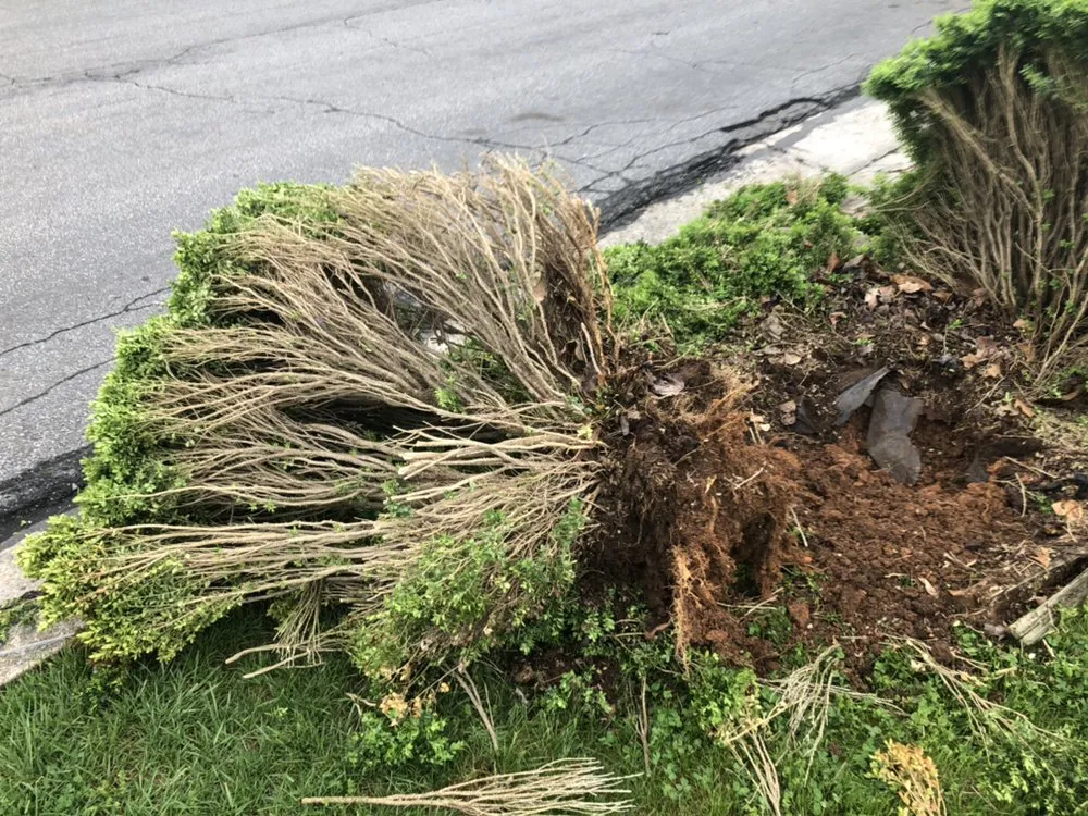 Professional residential landscaping experts serving Roanoke, VA - Parker Lawn & Grounds