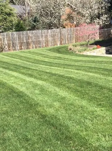 Professional outdoor landscaping in Roanoke, VA - Parker Lawn & Grounds